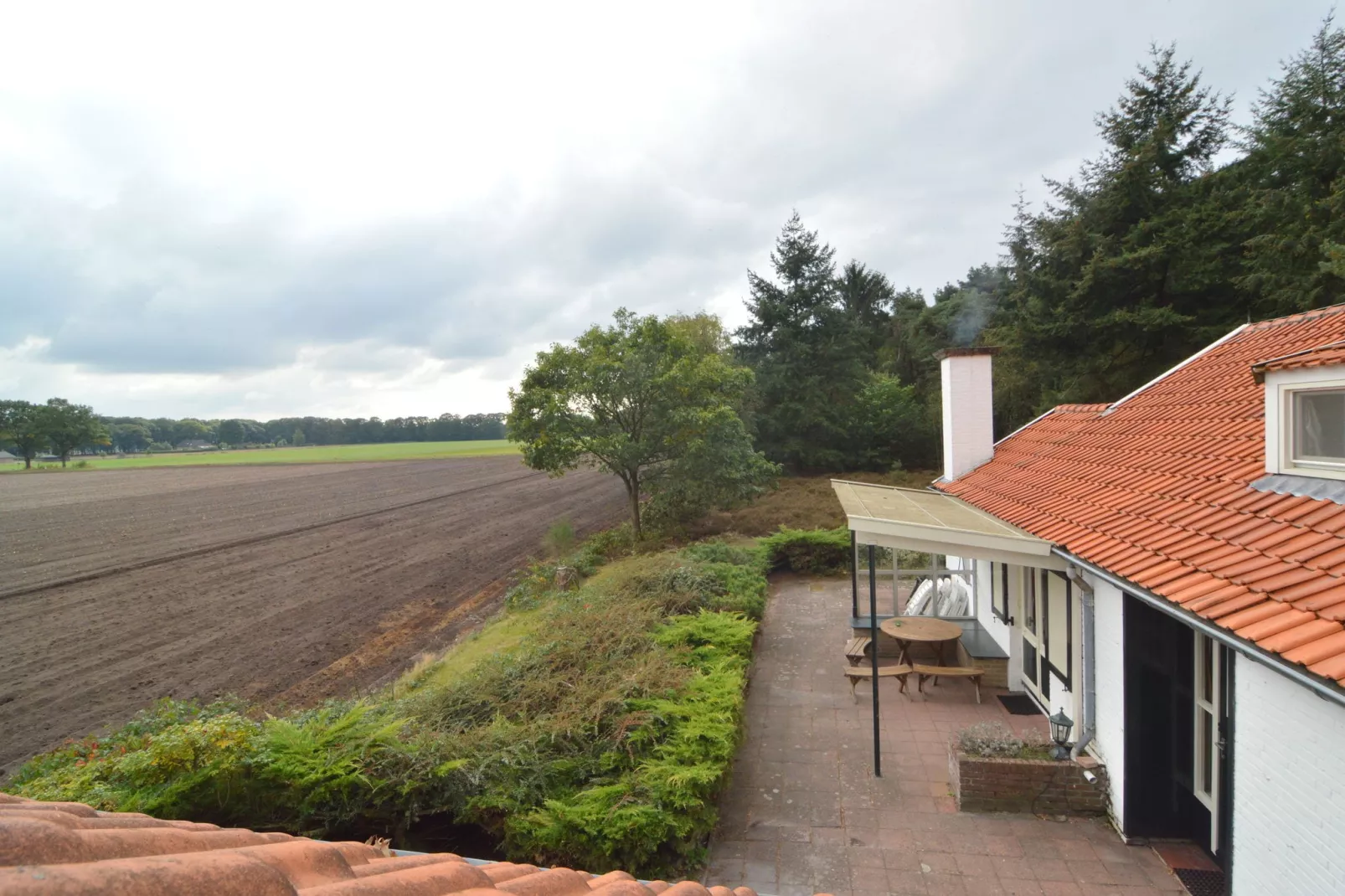 Huis in het bos-View summer