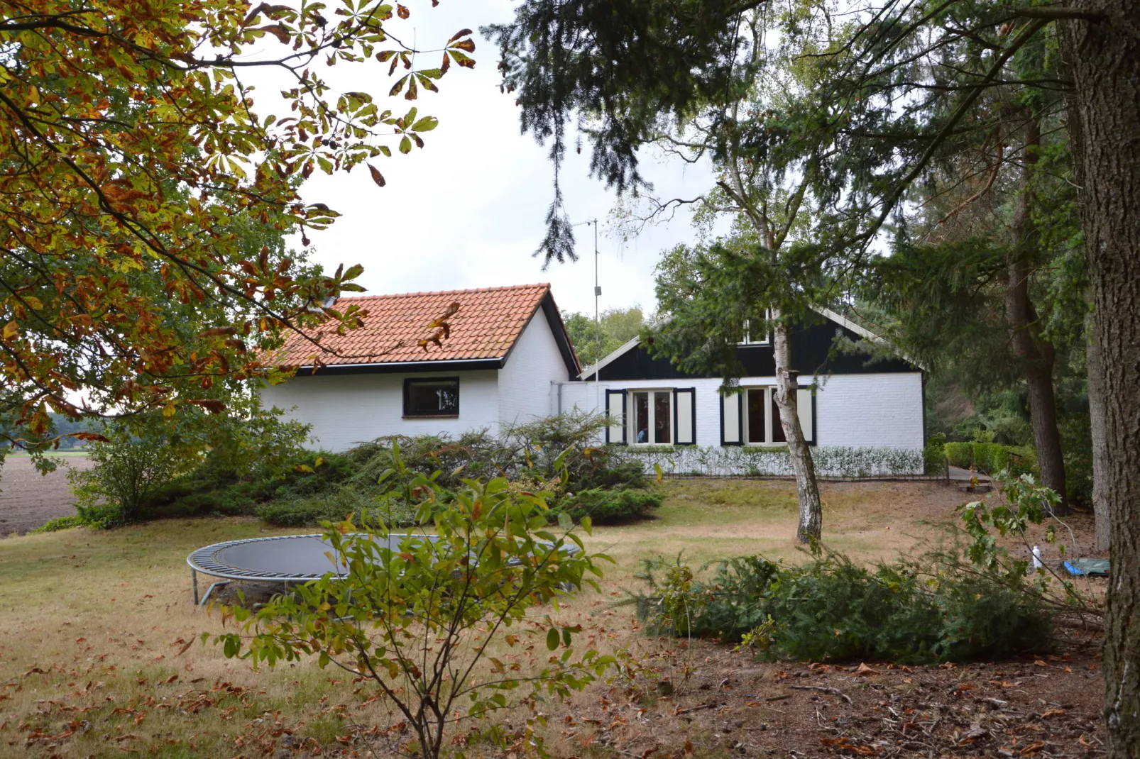 Huis in het bos-Gardens summer