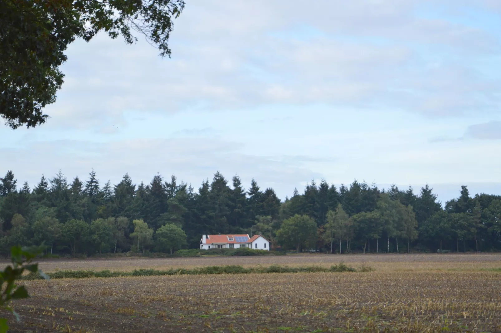 Huis in het bos-Areas summer 1km
