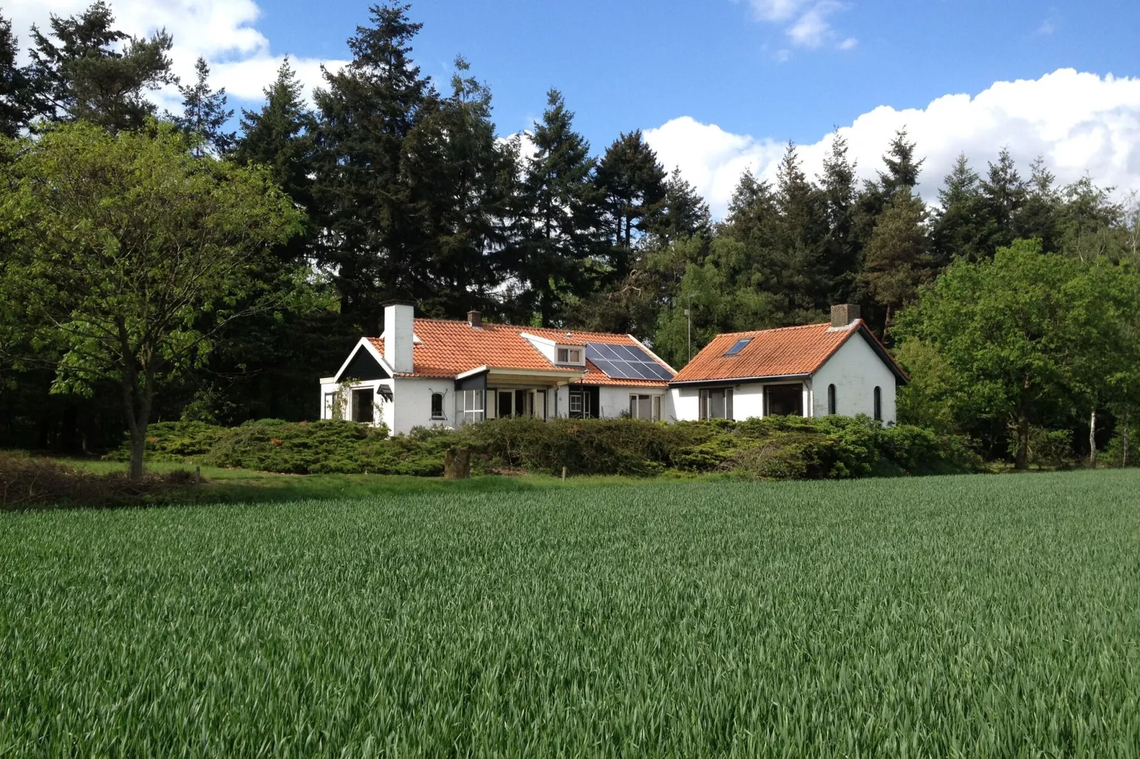 Huis in het bos-Exterior summer