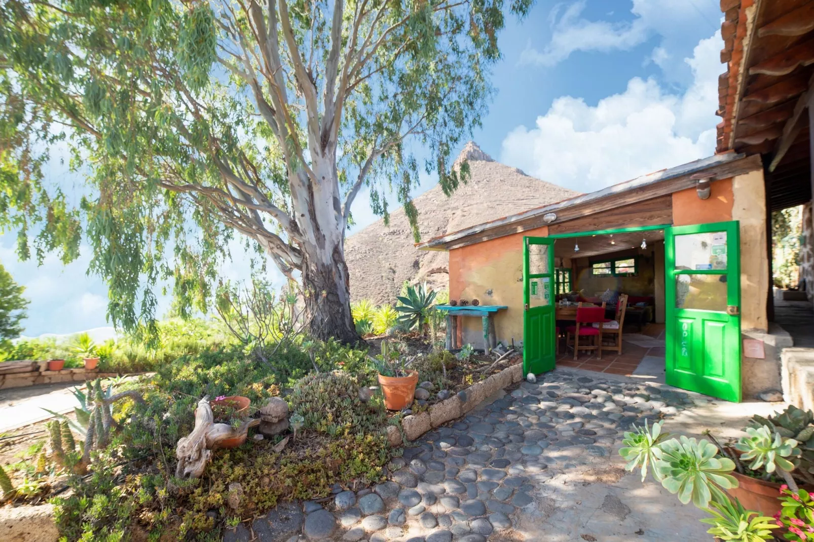 Tenerife Nature Retreat-Exterior summer