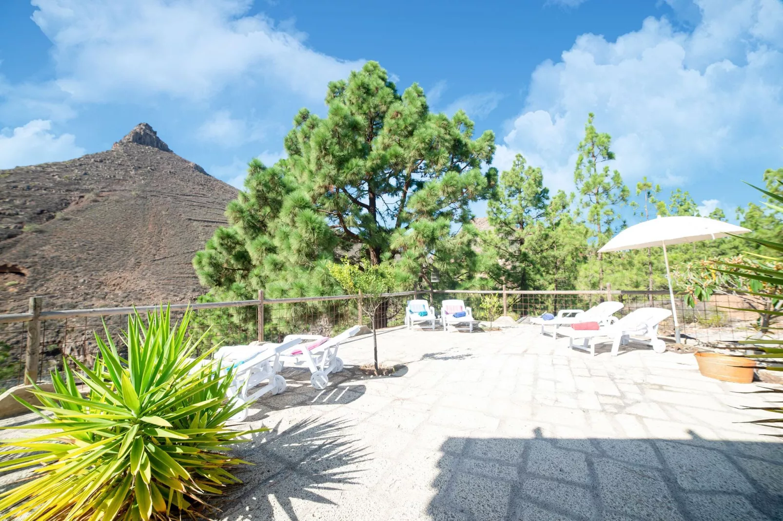 Tenerife Nature Retreat-Gardens summer