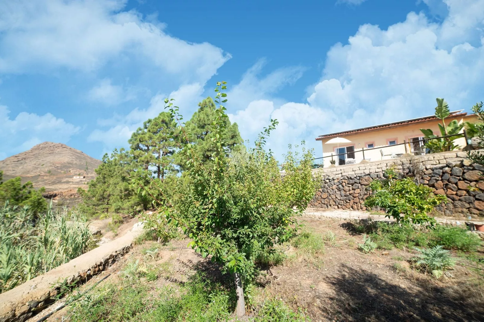Tenerife Nature Retreat-Gardens summer