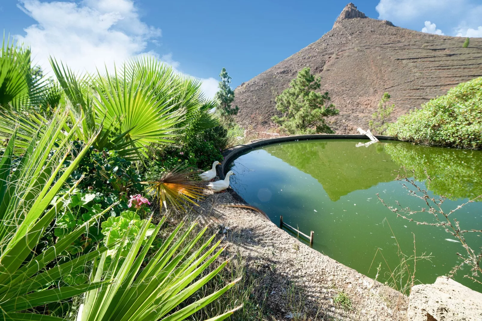 Tenerife Nature Retreat-Areas summer 1km