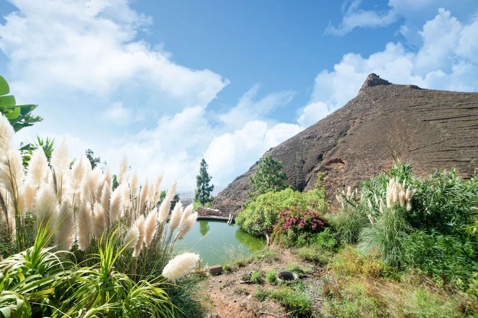 Tenerife Nature Retreat-Areas summer 1km