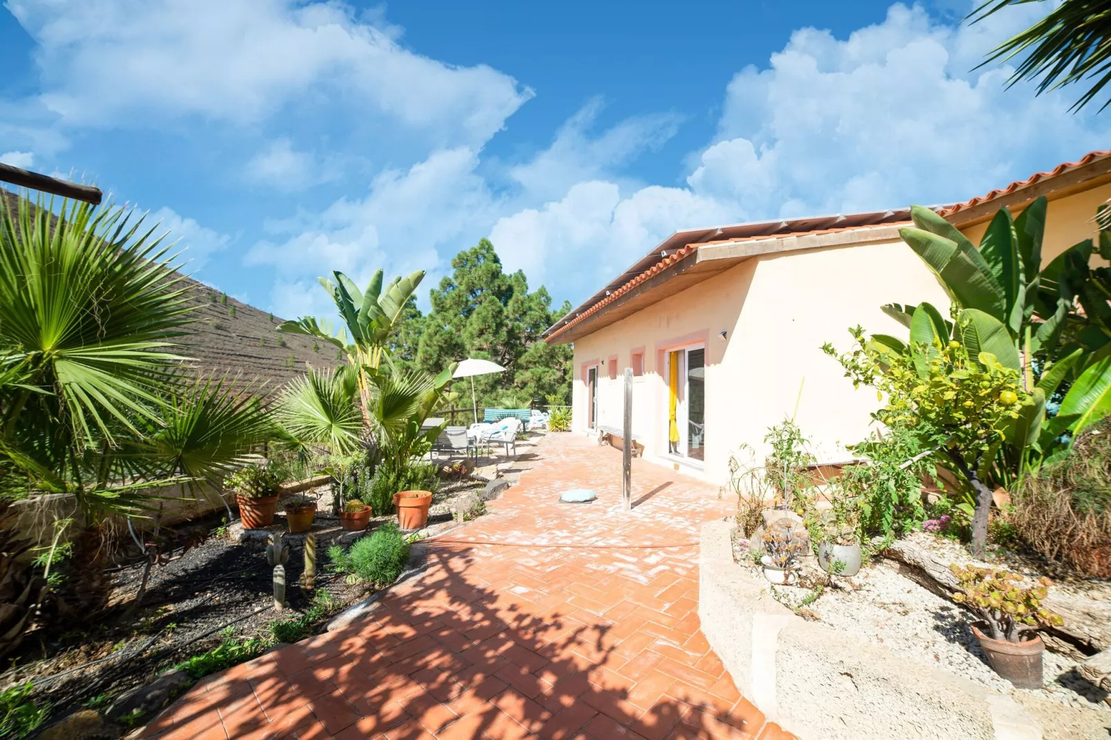 Tenerife Nature Retreat-Exterior summer