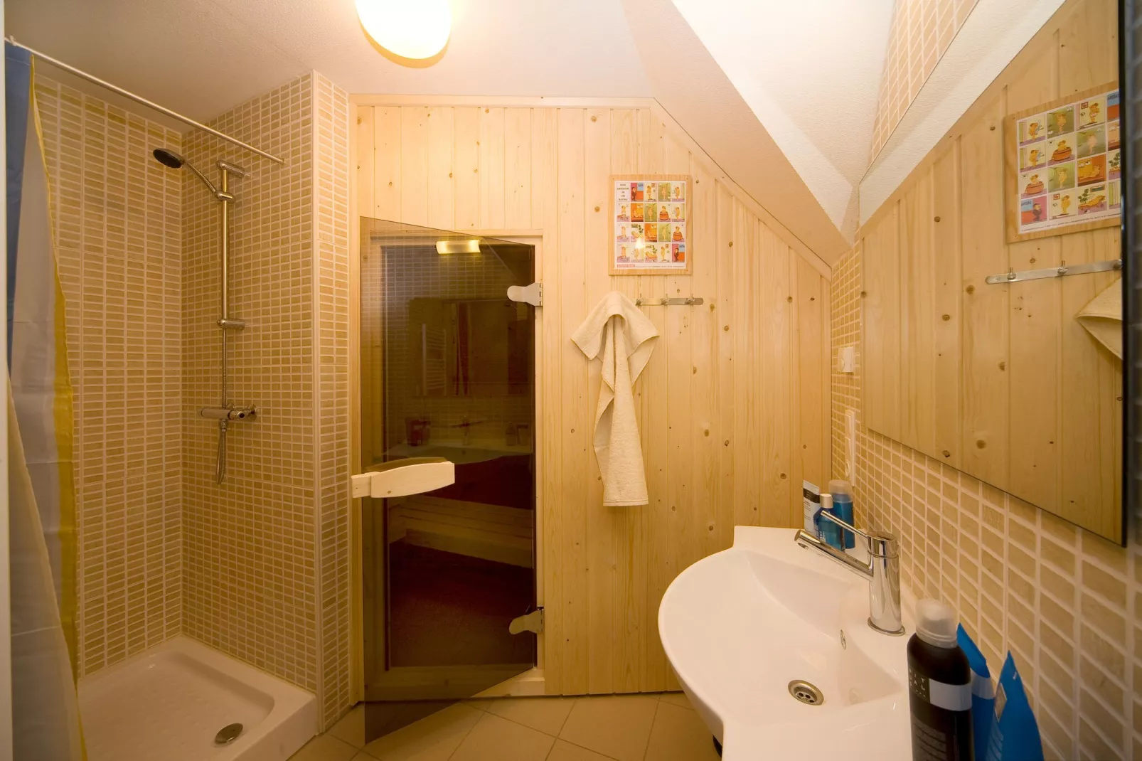 Ferienresort Bad Bentheim 1-Bathroom