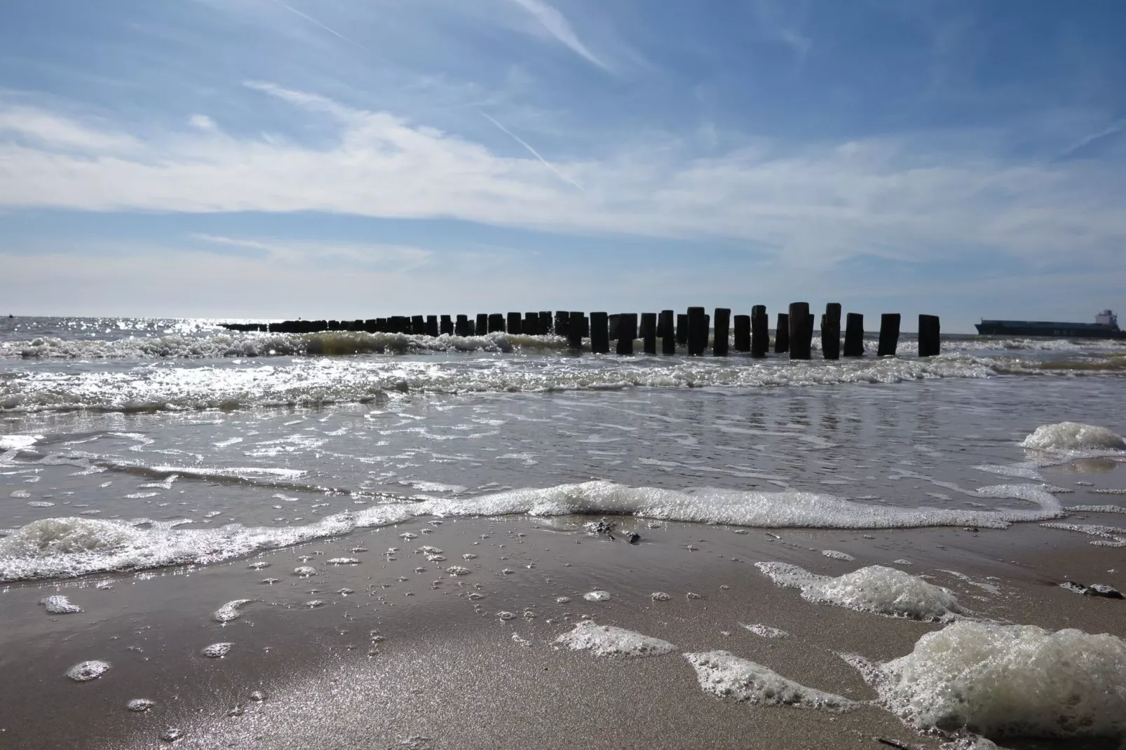Slaapstrandhuisje - Strand dishoek 68  Dishoek-Areas summer 1km