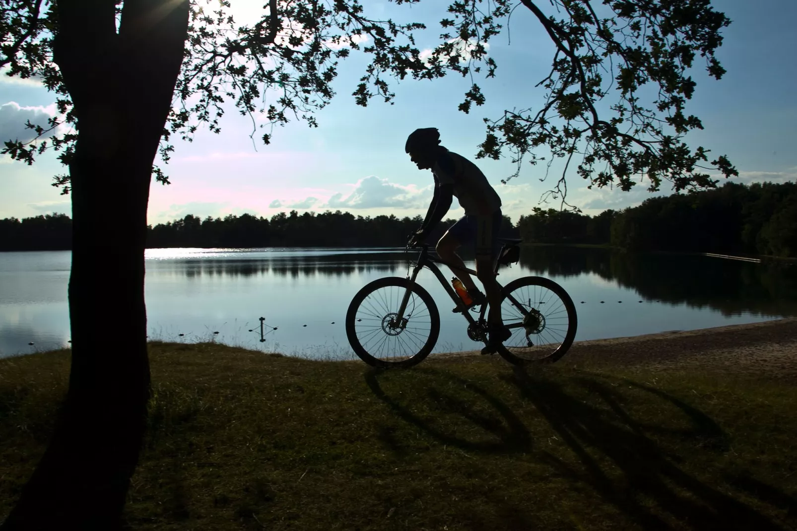 RCN Vakantiepark de Roggeberg 5-Areas summer 1km
