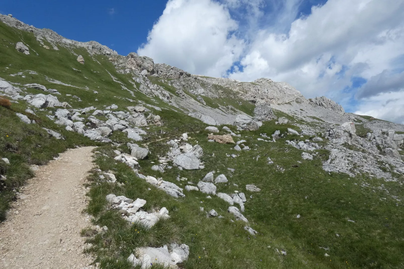 Fiamme-Areas summer 20km