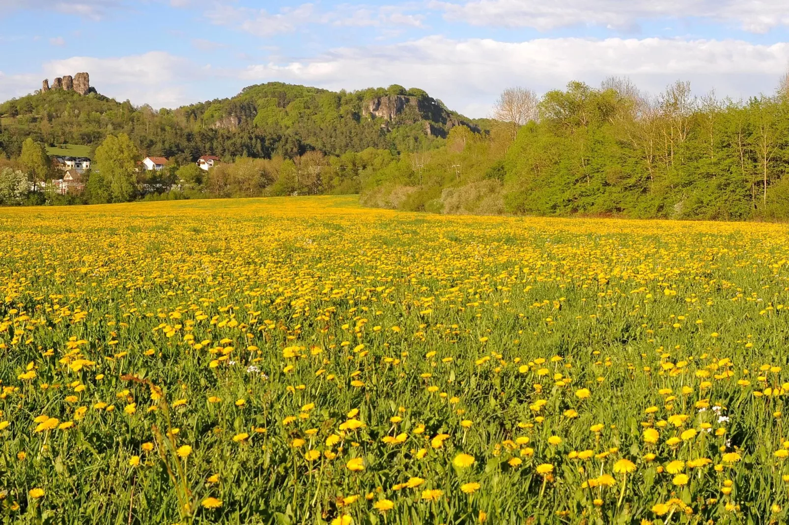 Waldferienpark Gerolstein 1-Areas summer 5km