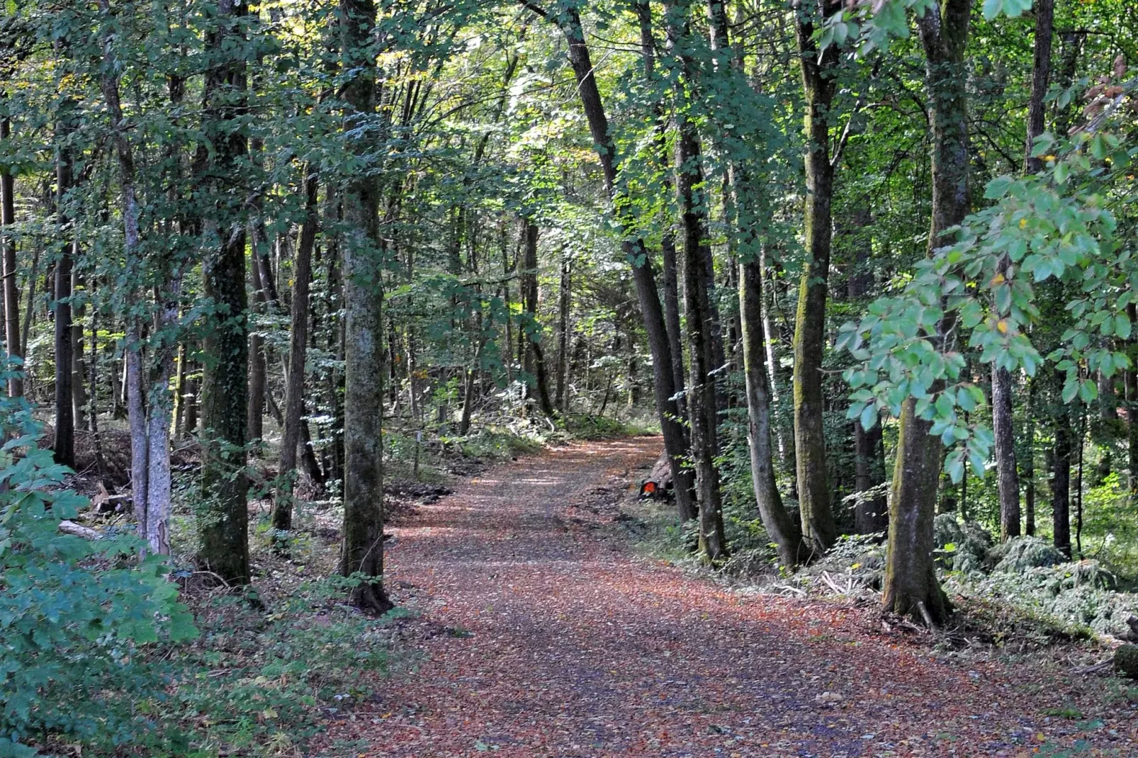 Waldferienpark Gerolstein 1-Areas summer 5km