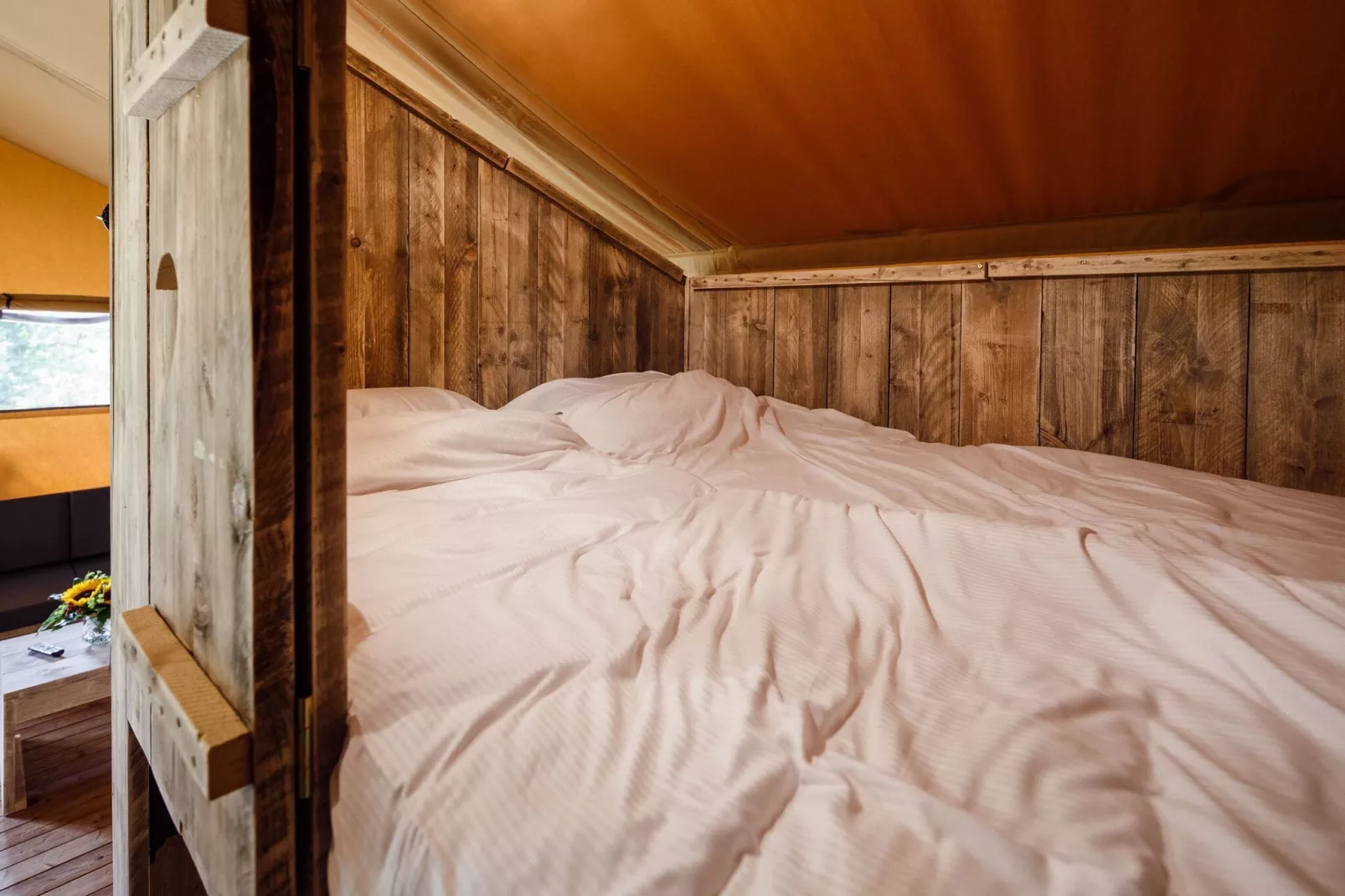 RCN Vakantiepark de Roggeberg 7-Bedroom