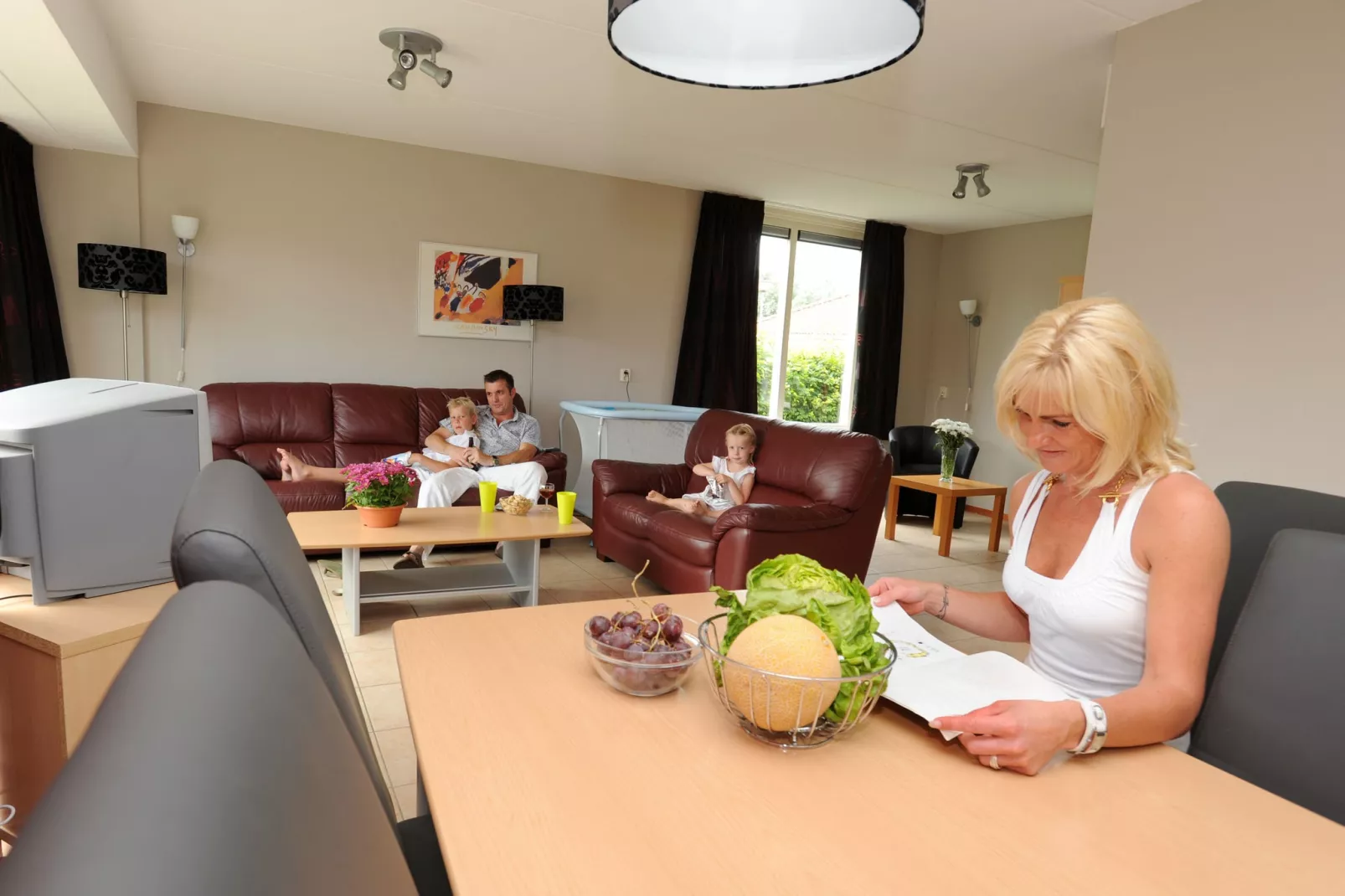 Villavakantiepark IJsselhof 5-Living room