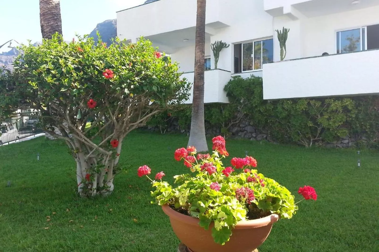 El Sombrero II-Gardens summer