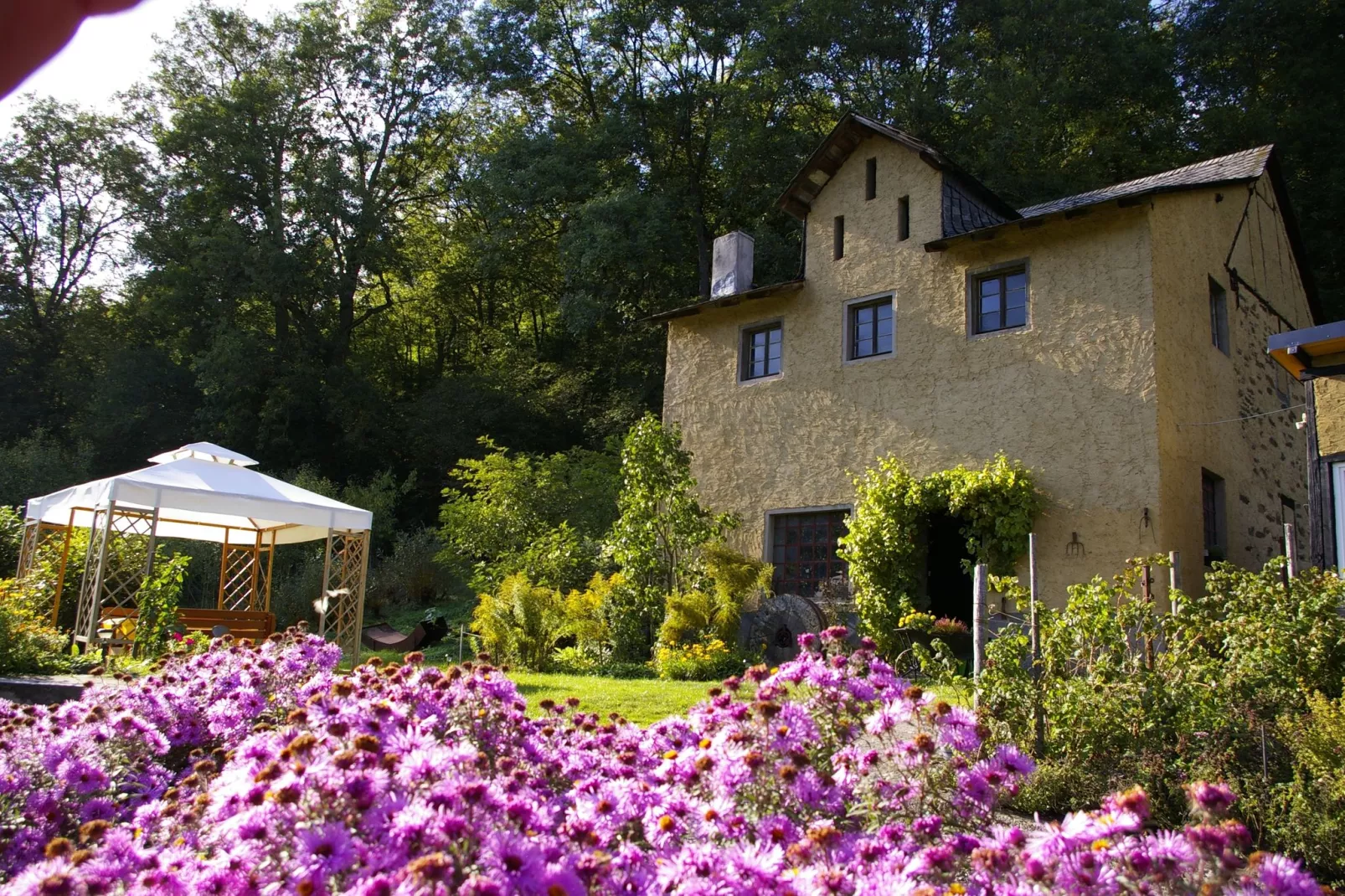 Kaifenheimer Mühle 1-Gardens summer