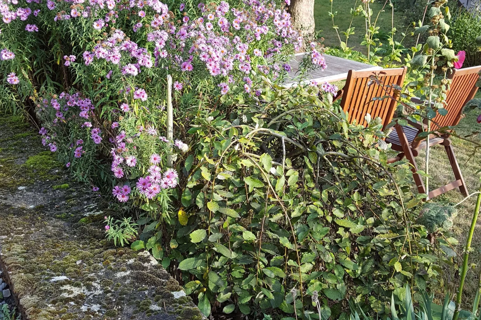 Kaifenheimer Mühle 1-Gardens summer