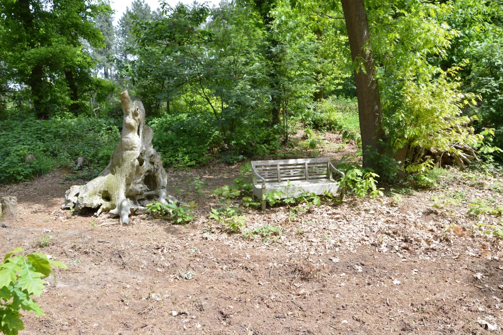 Lodge Maasduinen-Gardens summer