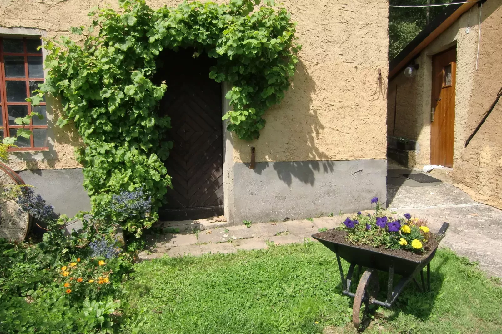 Kaifenheimer Mühle 1-Gardens summer