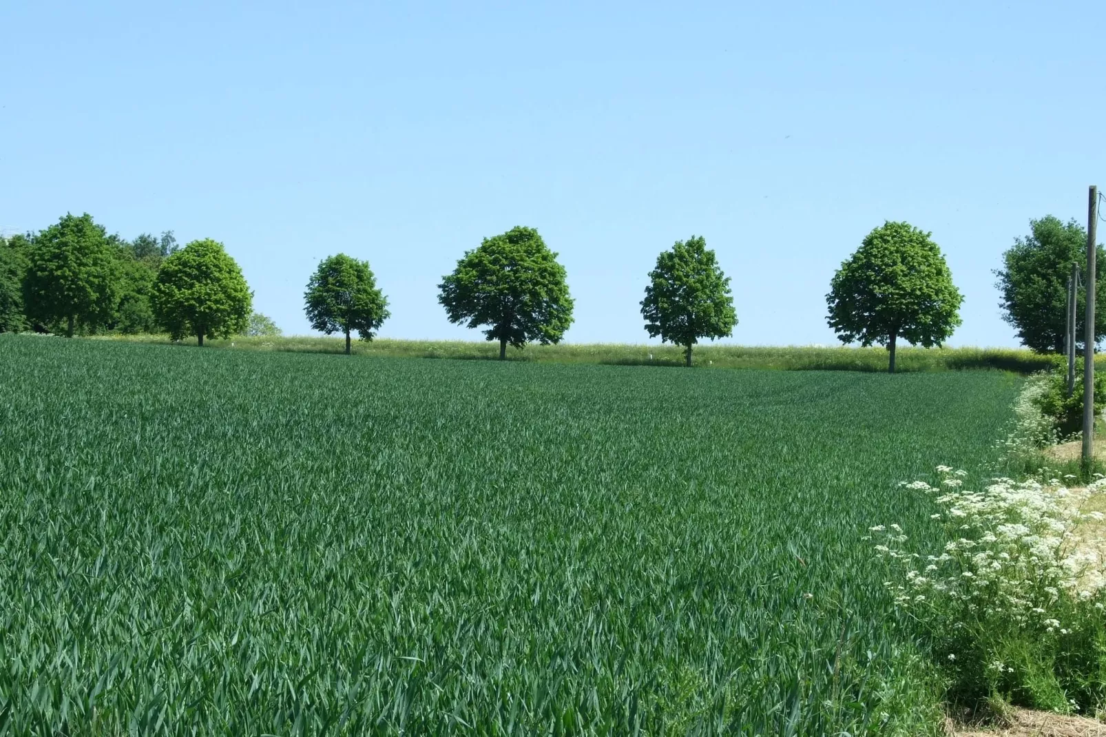 Kaifenheimer Mühle 1-Areas summer 20km