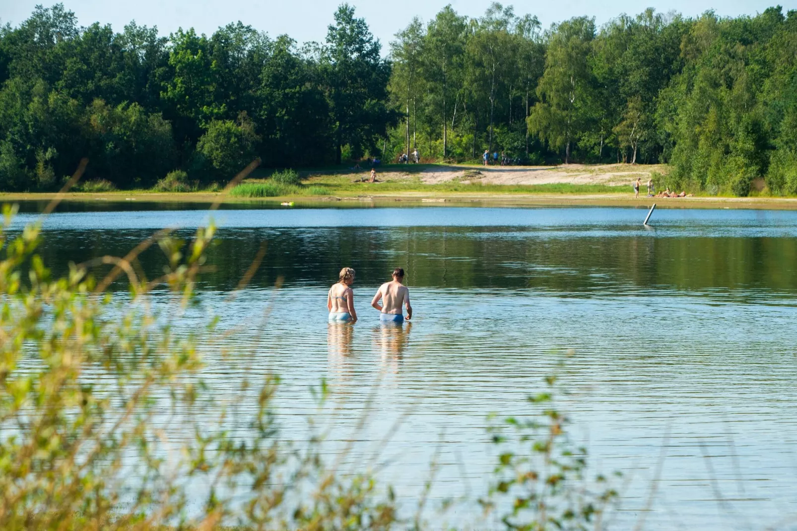 RCN Vakantiepark de Roggeberg 8-Areas summer 5km