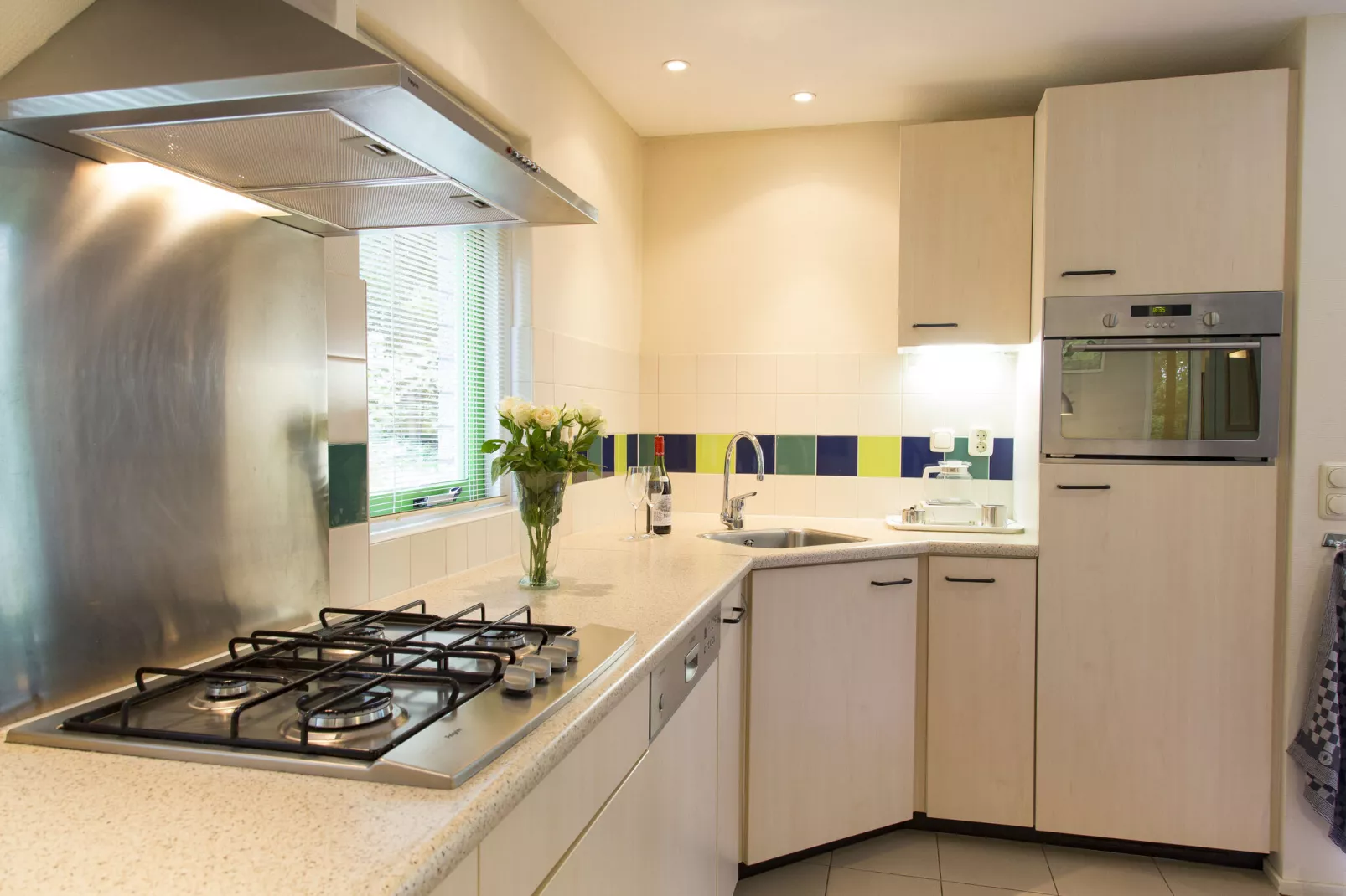 RCN Vakantiepark de Roggeberg 9-Kitchen