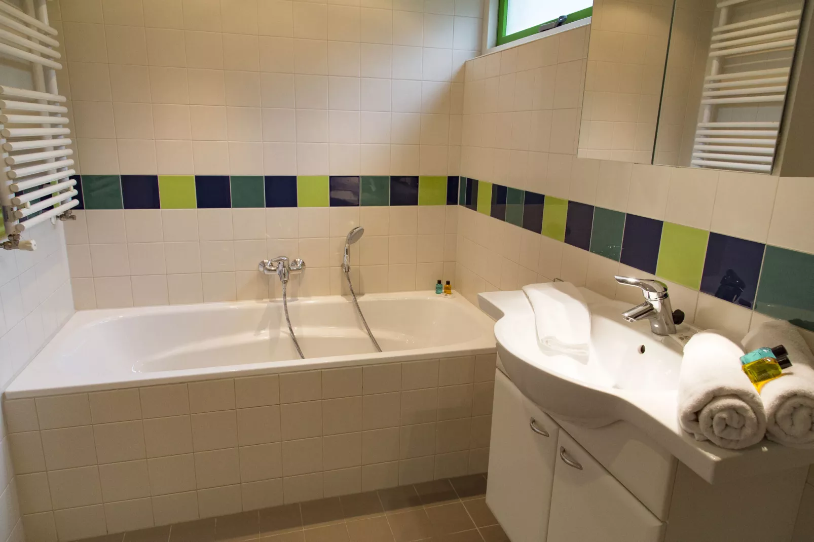 RCN Vakantiepark de Roggeberg 9-Bathroom