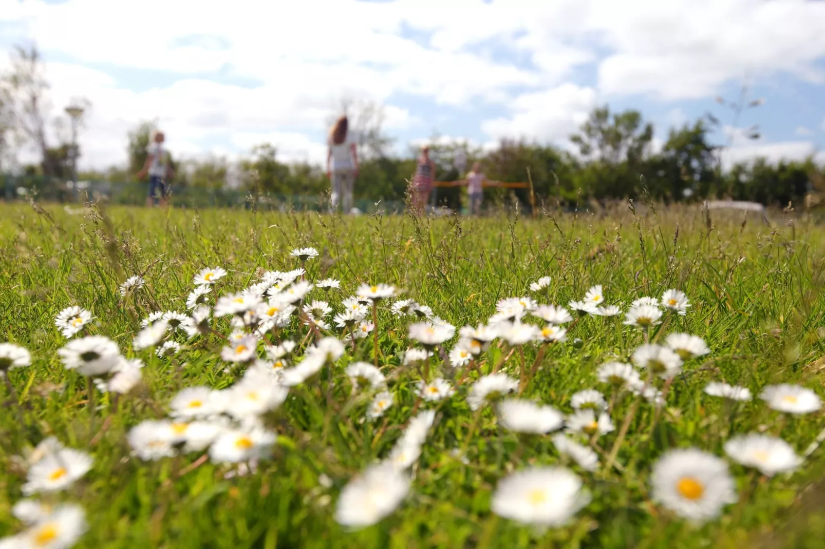 Vakantiepark Callassande 3-Areas summer 1km