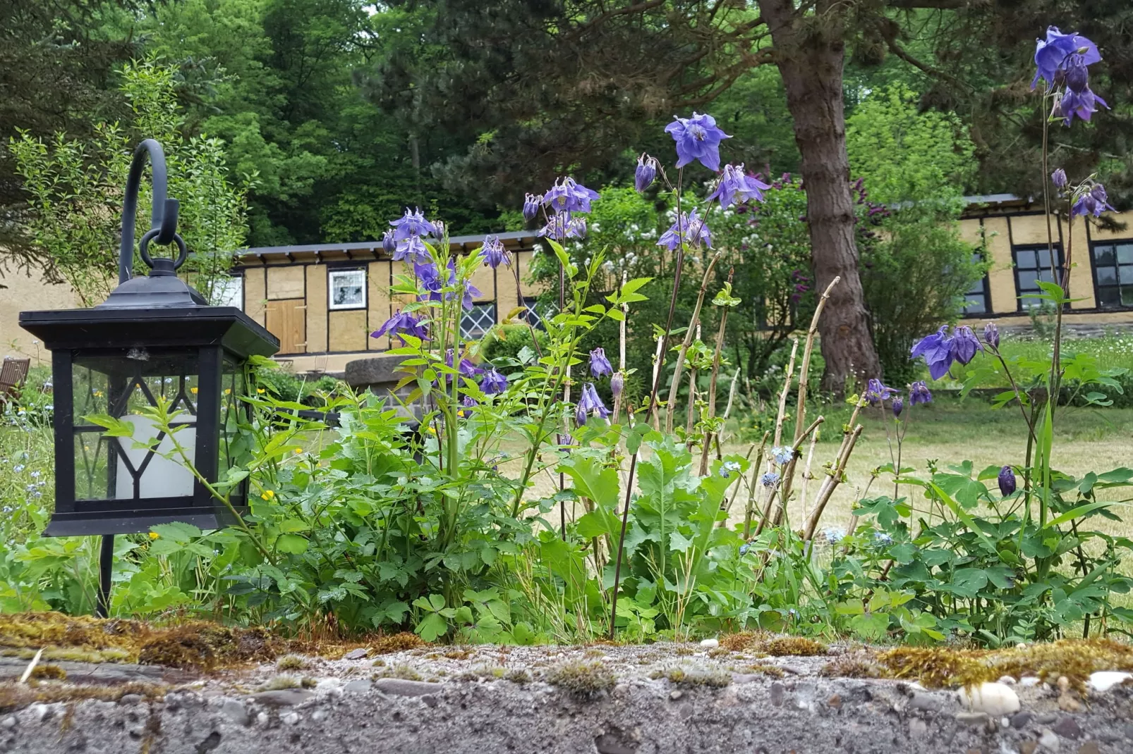 Kaifenheimer Mühle 3-Gardens summer