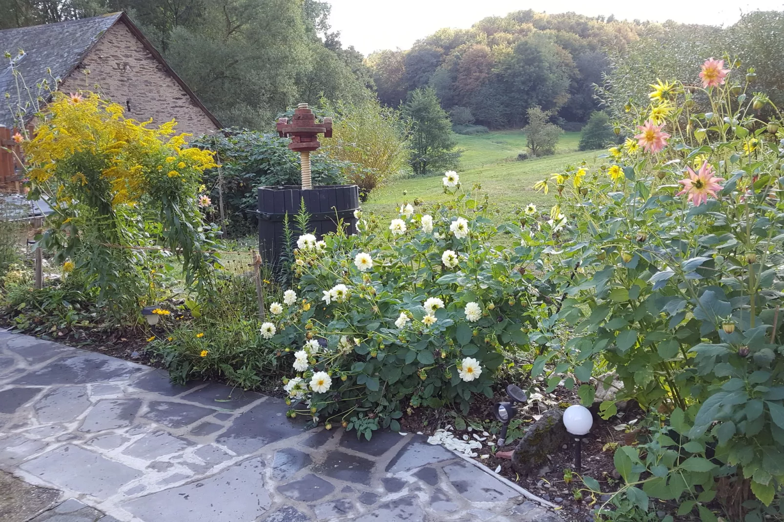Kaifenheimer Mühle 3-View summer
