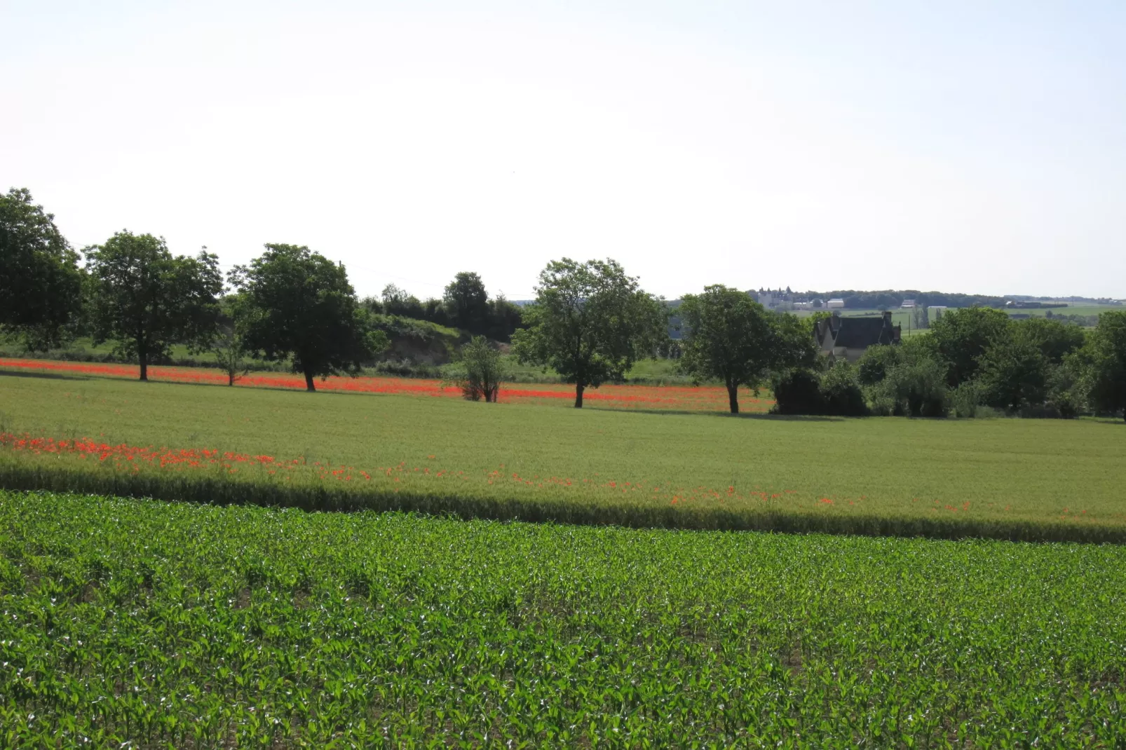 Domaine de Cessigny-View summer