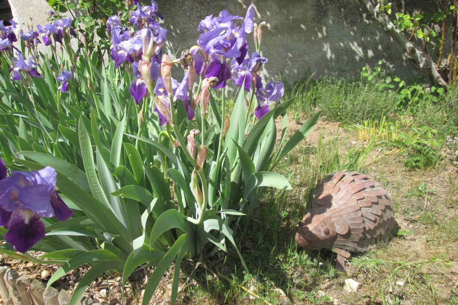 Domaine de Cessigny-Areas summer 1km