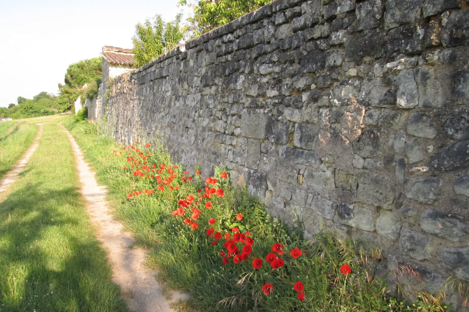 Domaine de Cessigny-Areas summer 1km