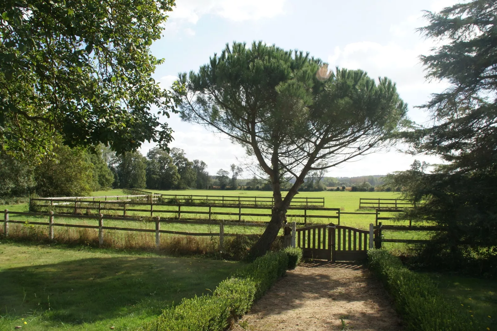 Maison de vacances Cinais-View summer