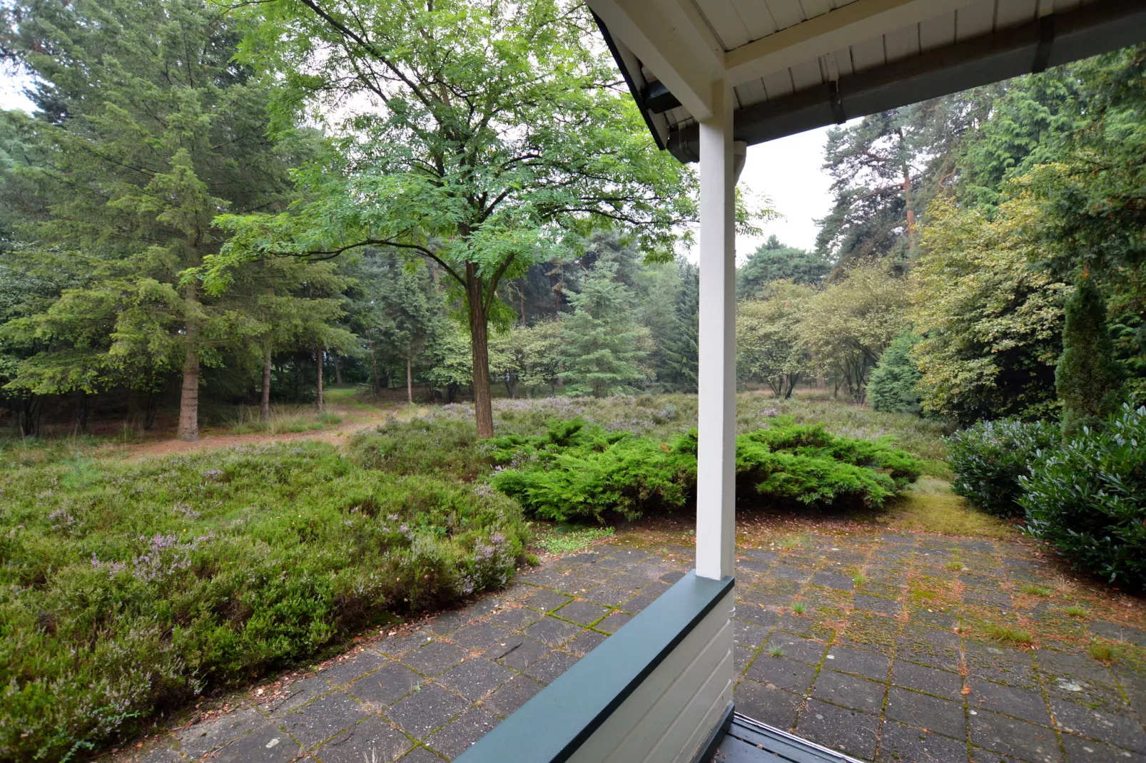 Panweg 14-Terrace balcony