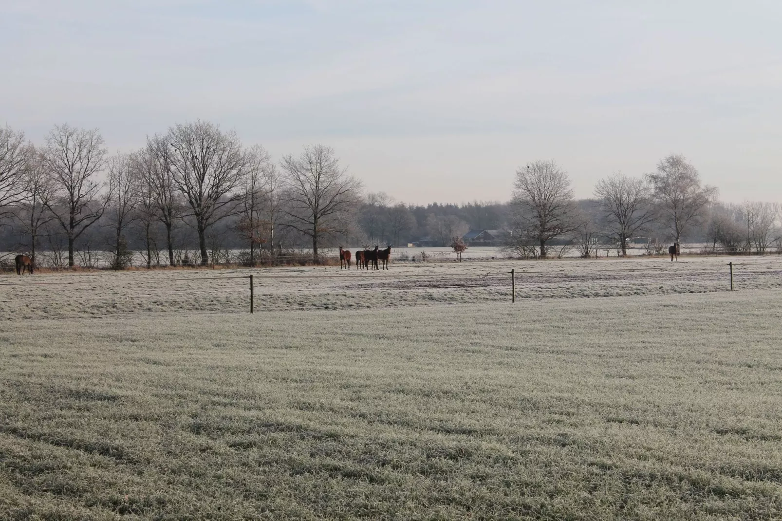 Panweg 14-Area winter 1km