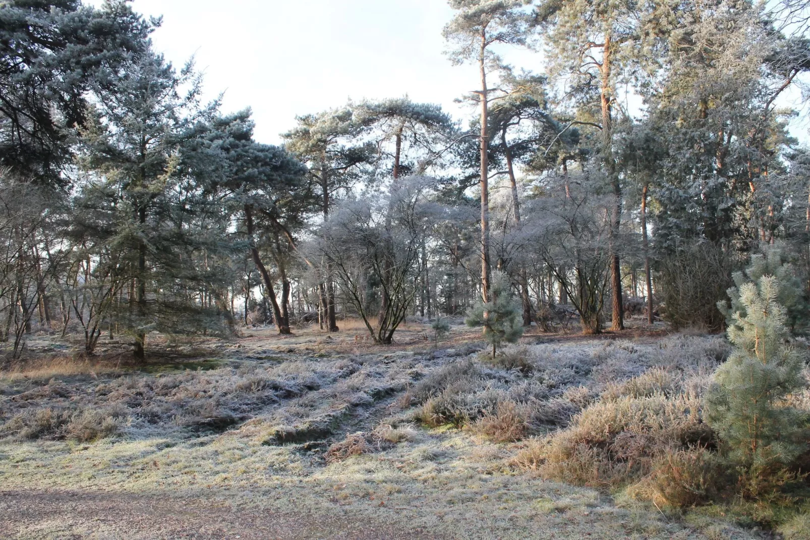 Panweg 14-Area winter 1km