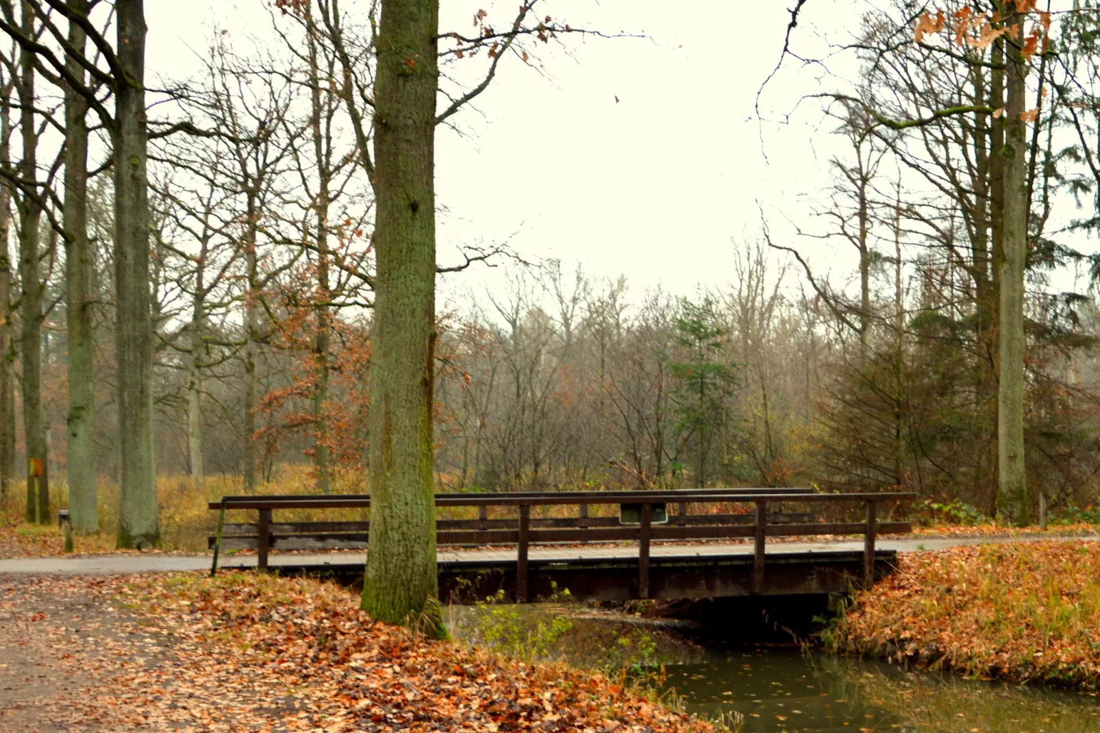 Panweg 14-Areas summer 5km