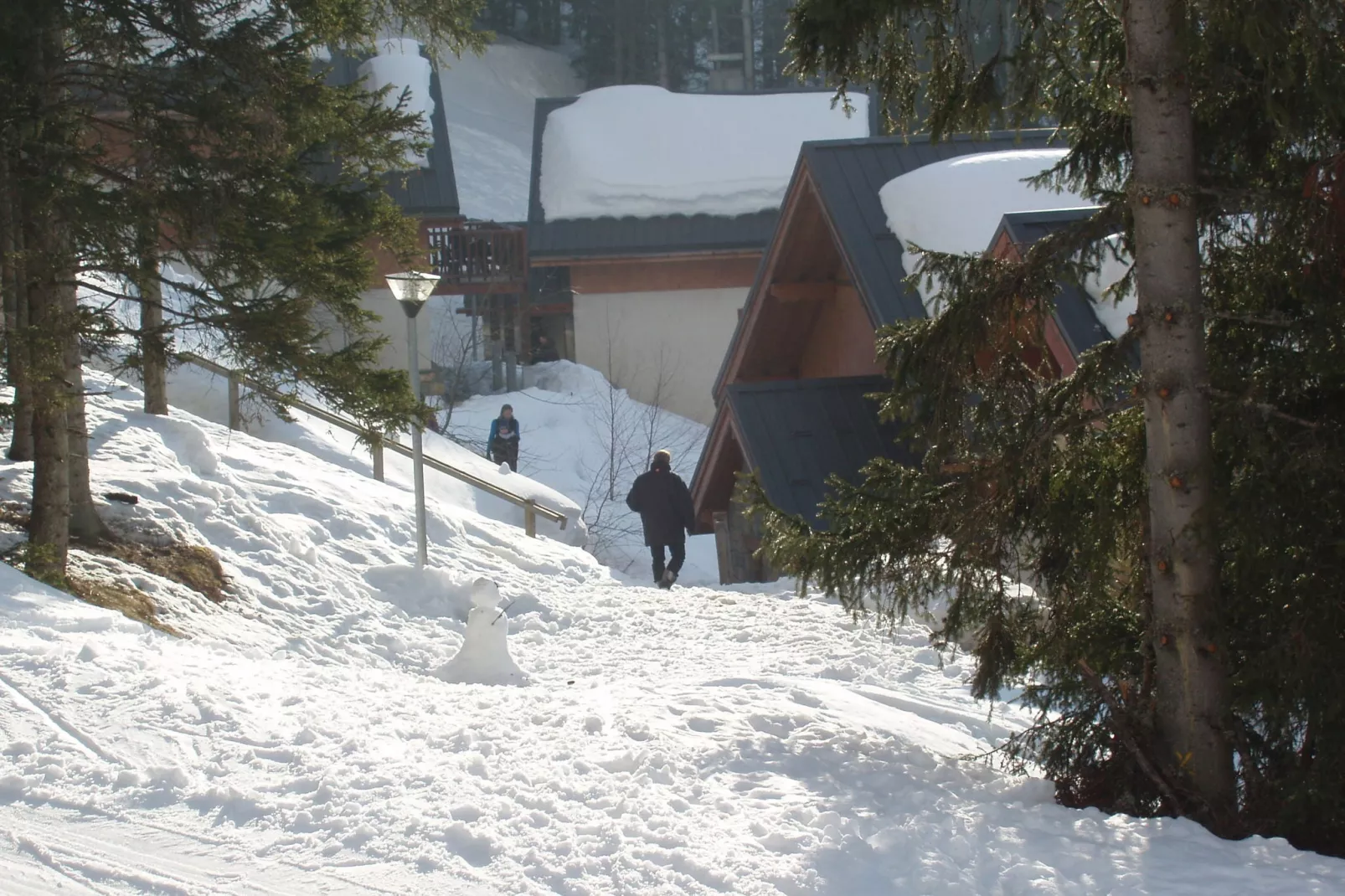Chalet - Oz-en-Oisans-Außenbereich Winter