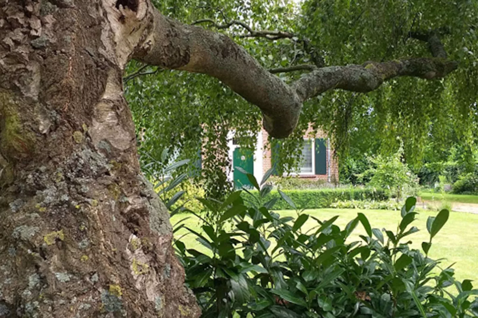 Smitske-Gardens summer