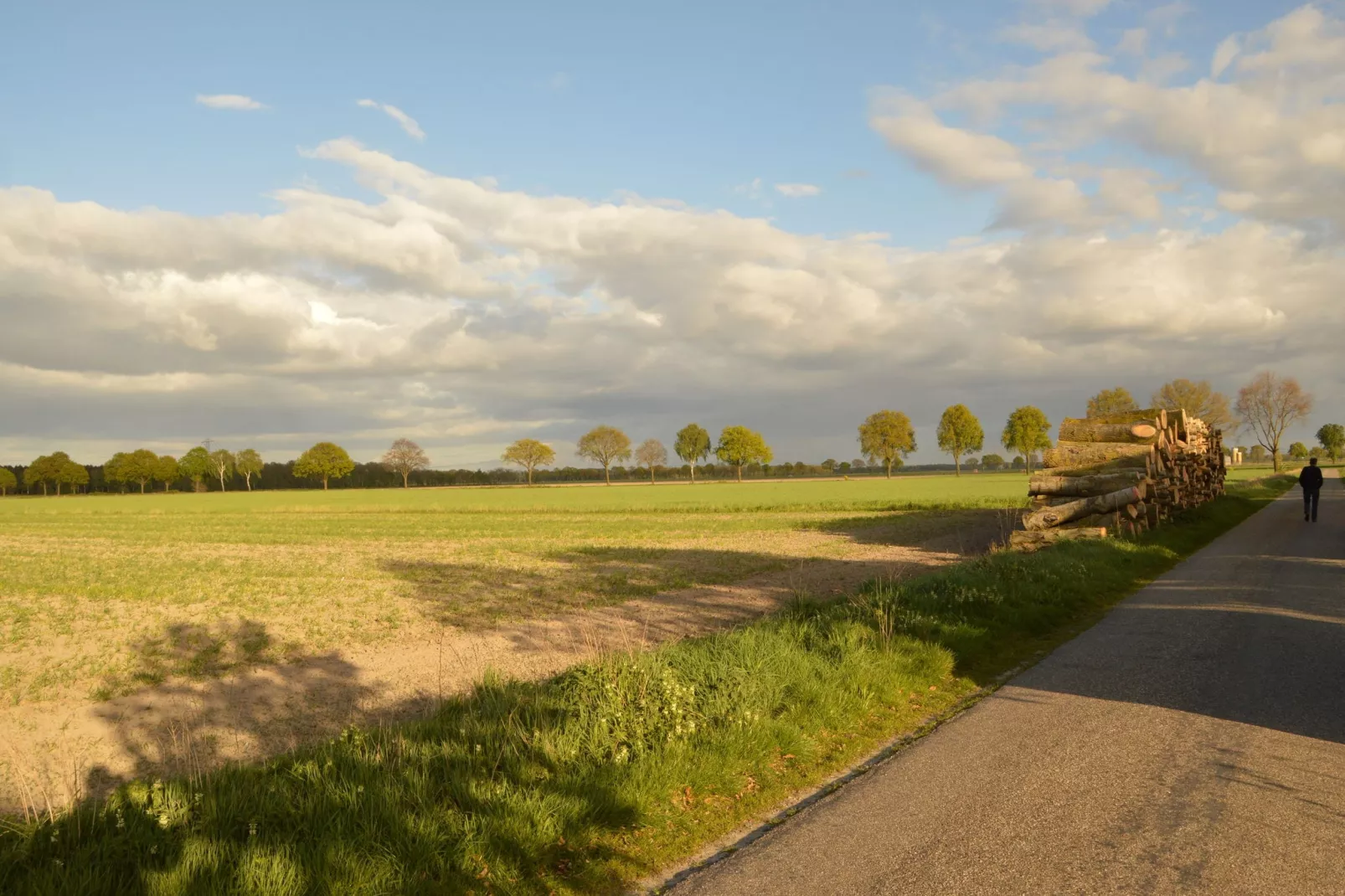 Bi-j Moppe Door-View summer