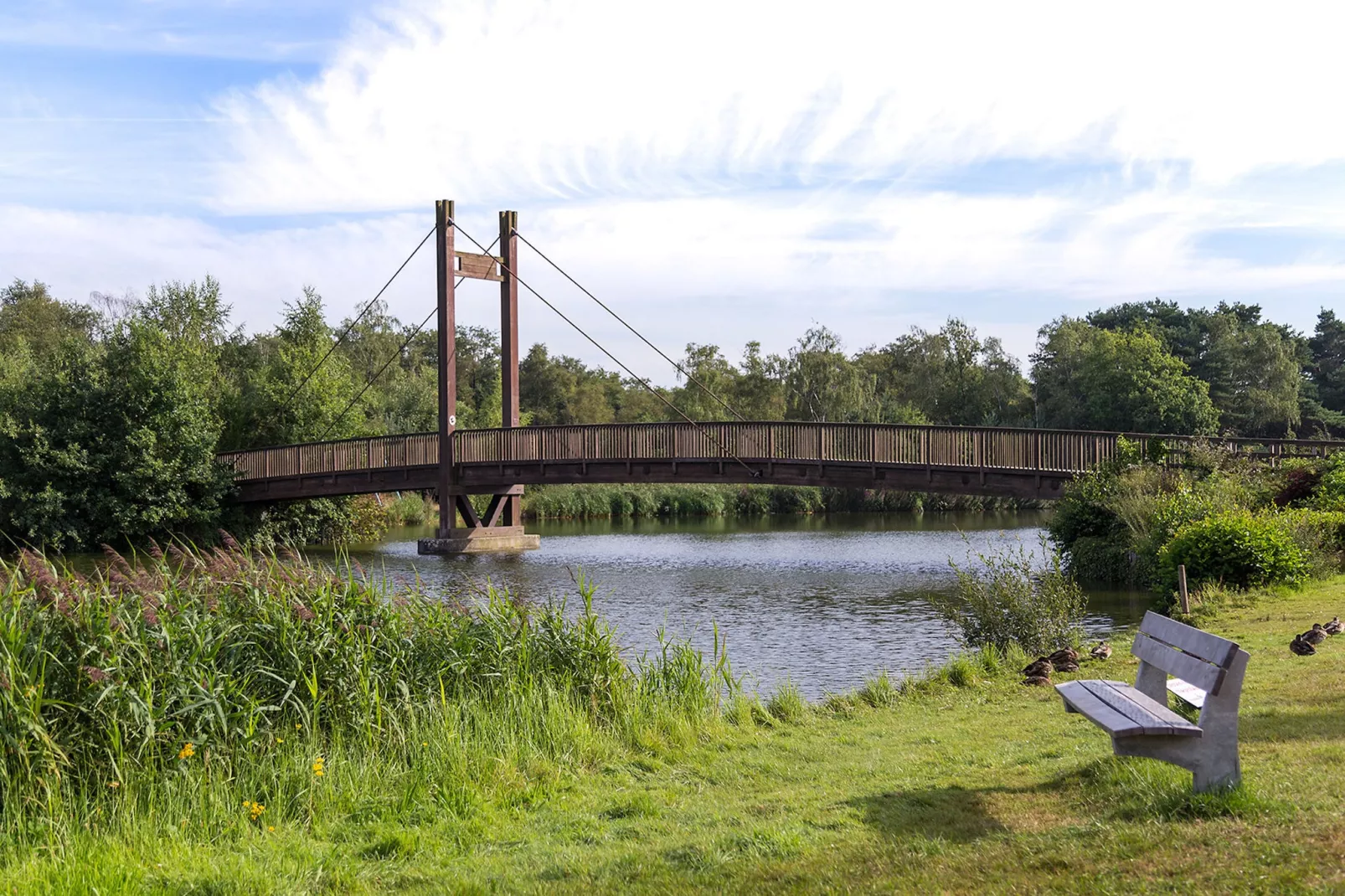Resort Zilverstrand 7-Gebiete Sommer 1 km