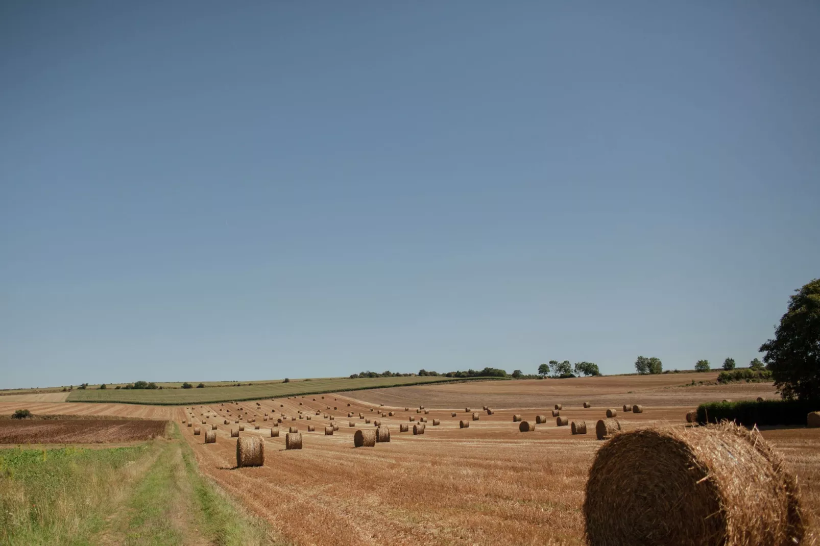 Maison de vacances - LE PONCHEL-Areas summer 5km