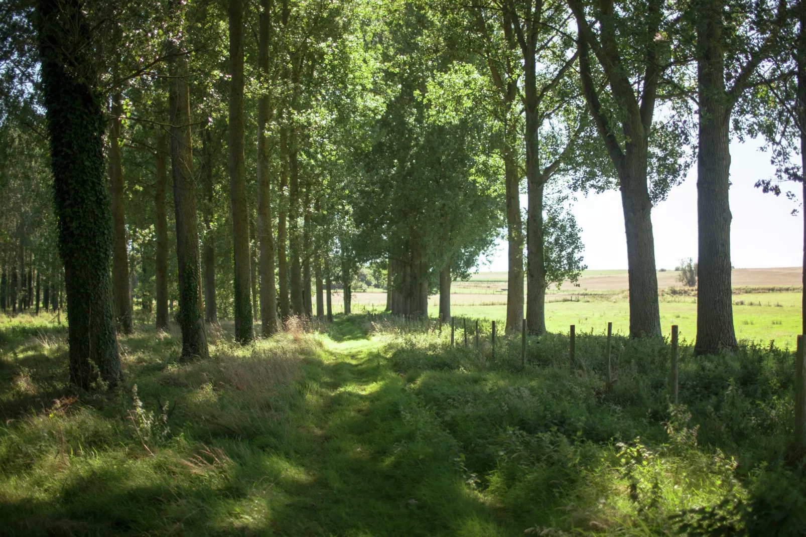 Maison de vacances - LE PONCHEL-Areas summer 20km