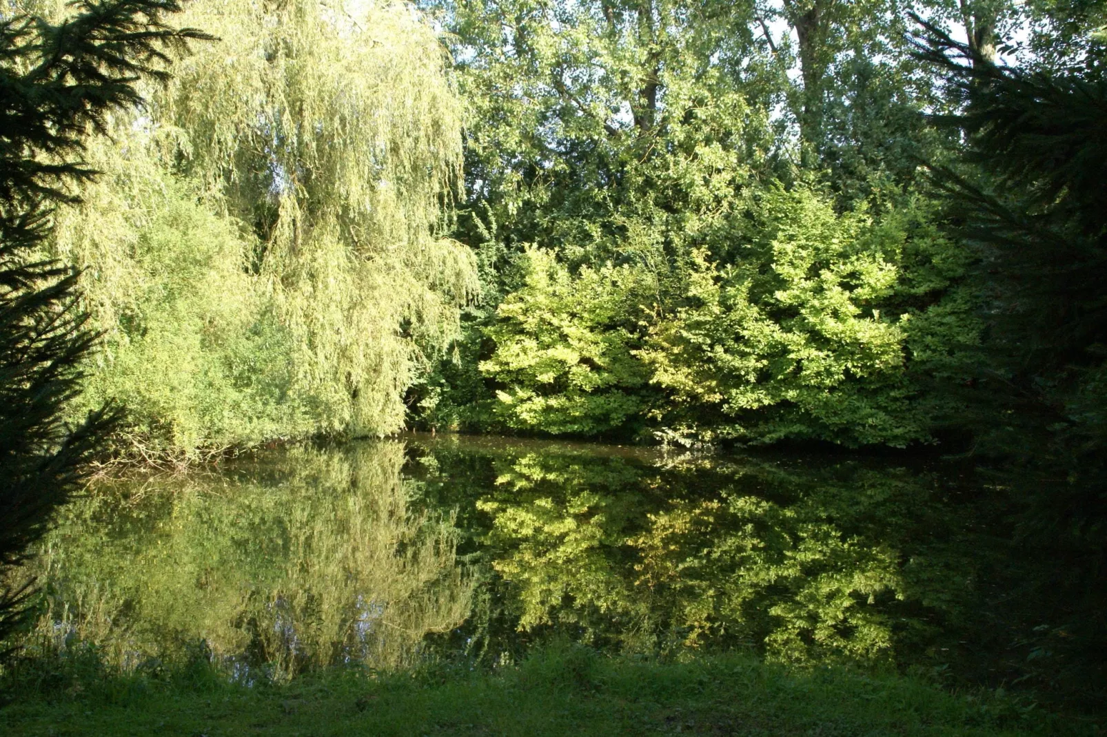 Maison de vacances - LE PONCHEL-View summer