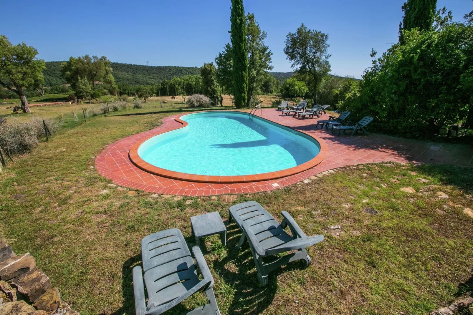 Clara-Pool