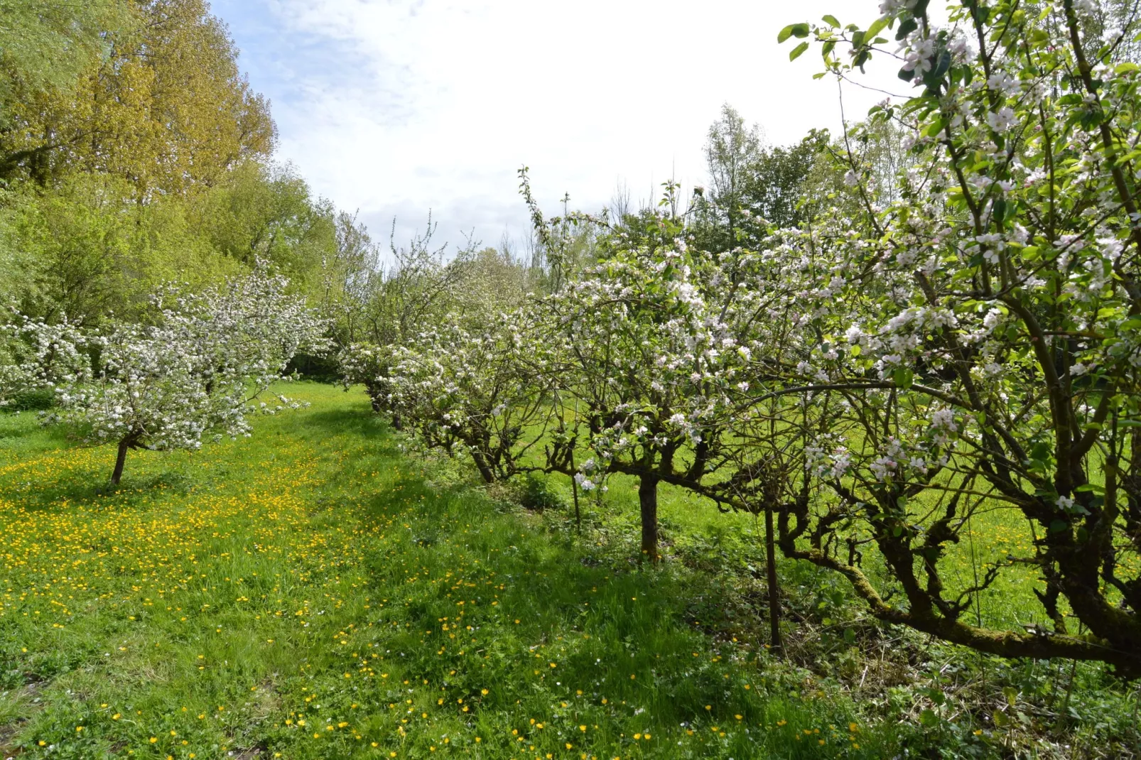 Domaine Les Ziettes-Gardens summer