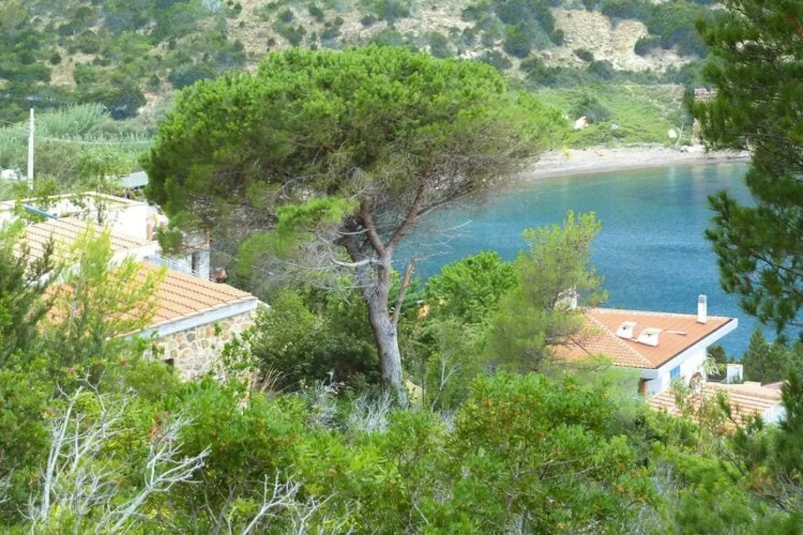 Ferienresidence La Cota Quinta Rio nell'Elba Typ Bilo 4-Exterior summer