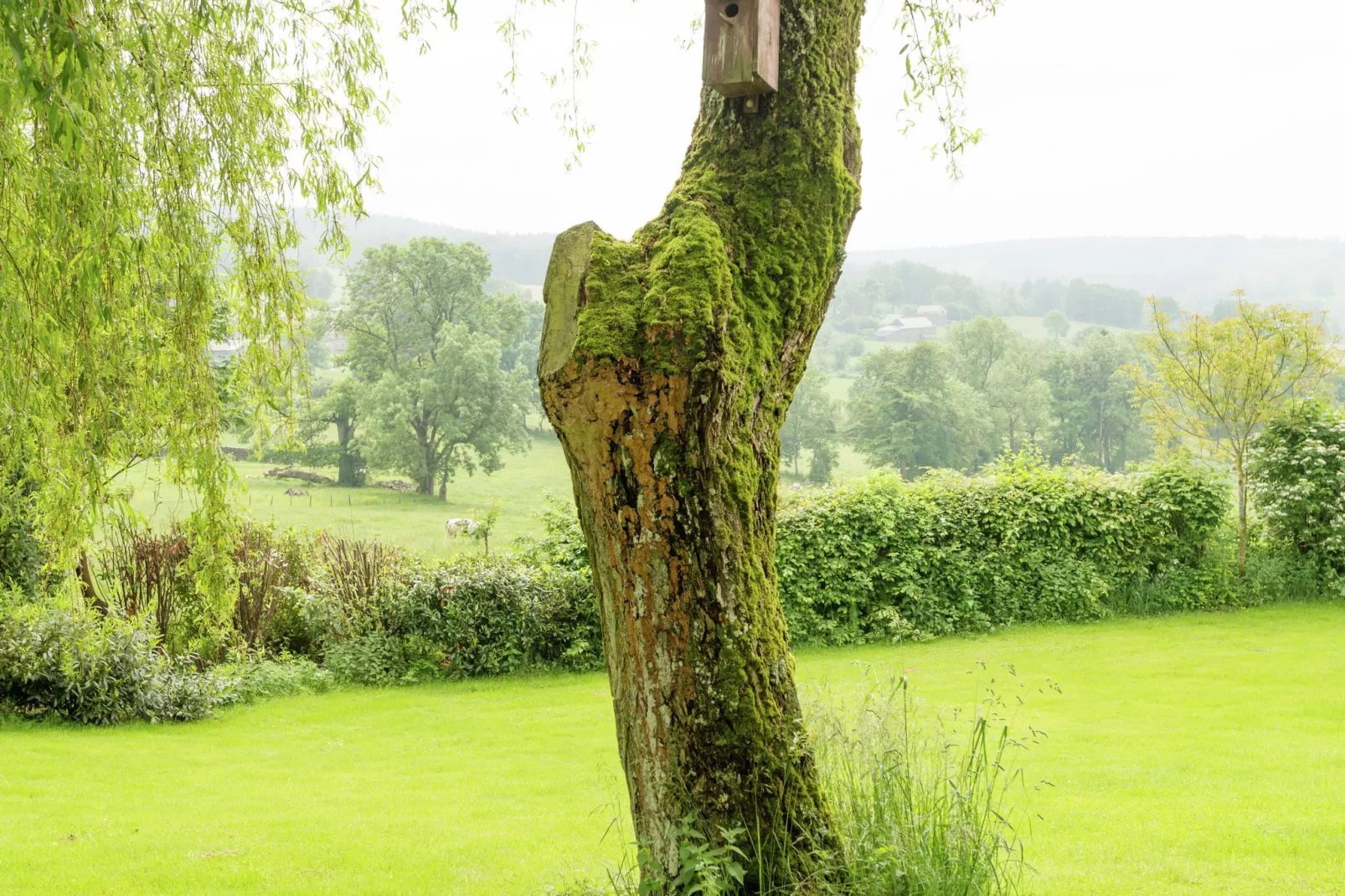 Ferme Bellevue-Ambiance
