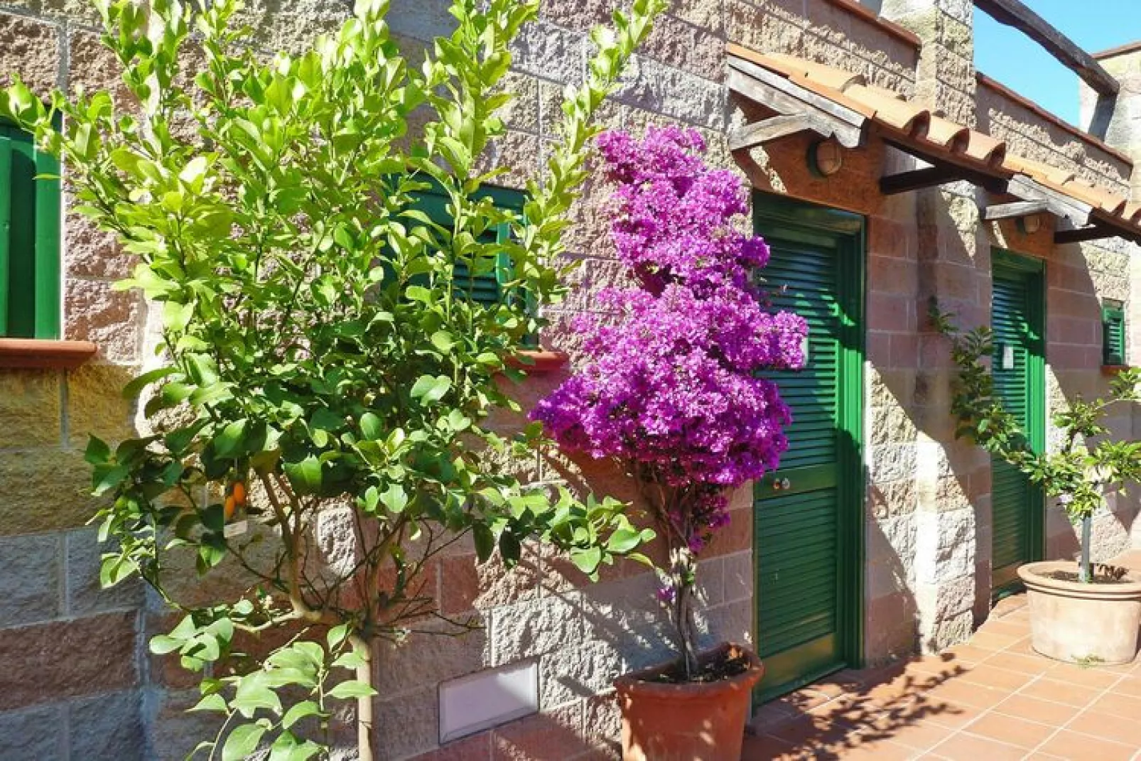Ferienresidence St Anna Rio nell'Elba - Typ Trilo-Gardens summer